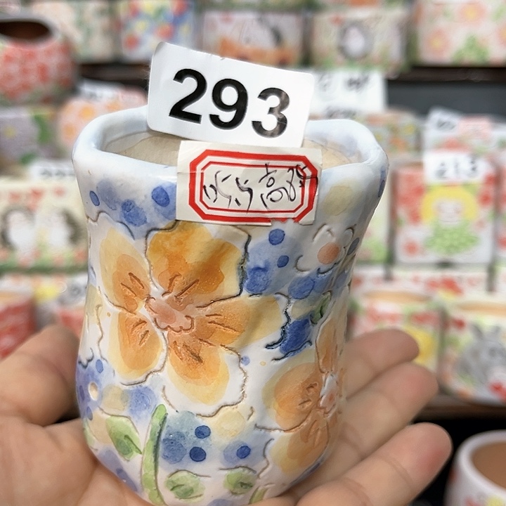 红陶20CM（含）-50CM（不含）