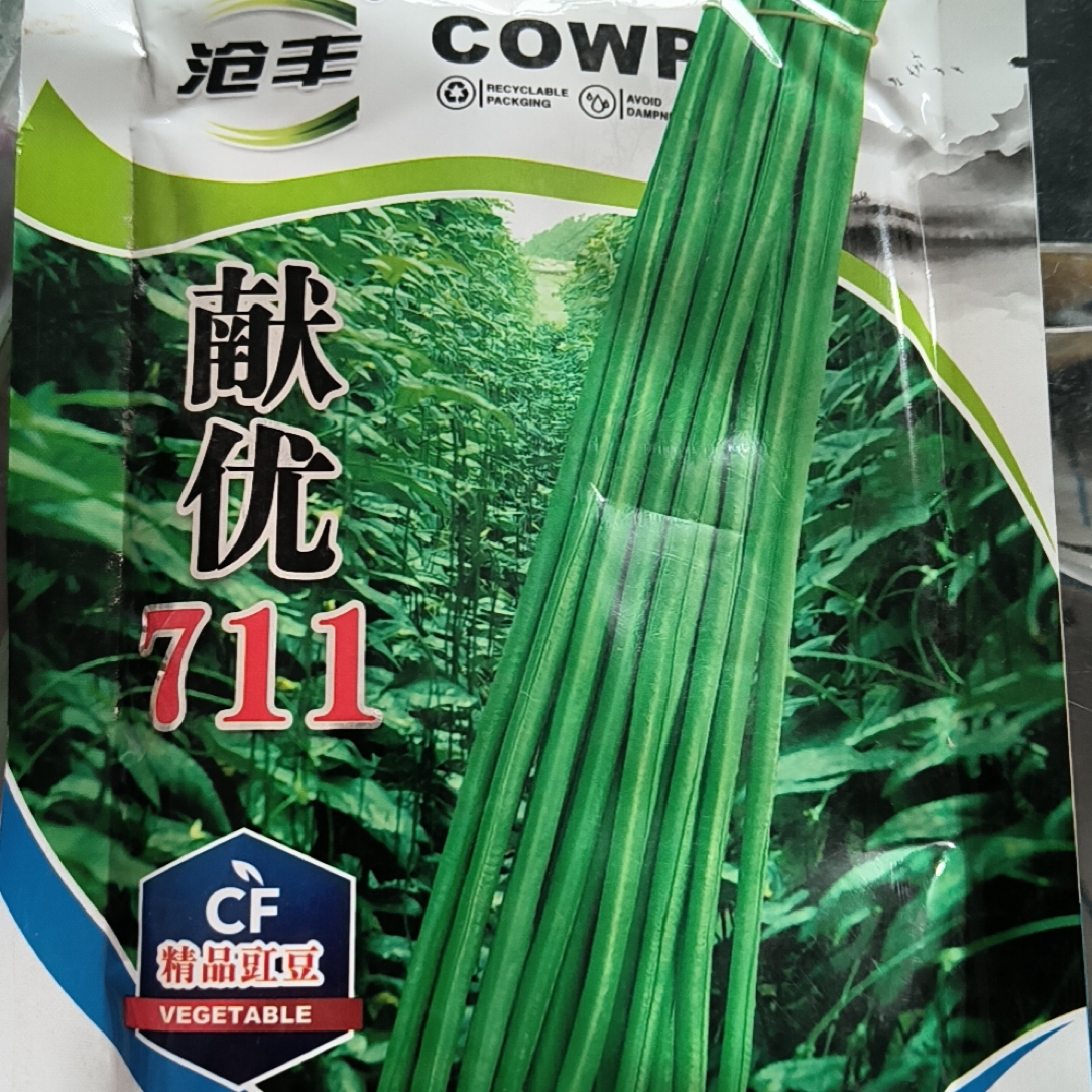 【献优翠绿豇豆种子】油绿、条长、不鼓籽，一亩地6袋