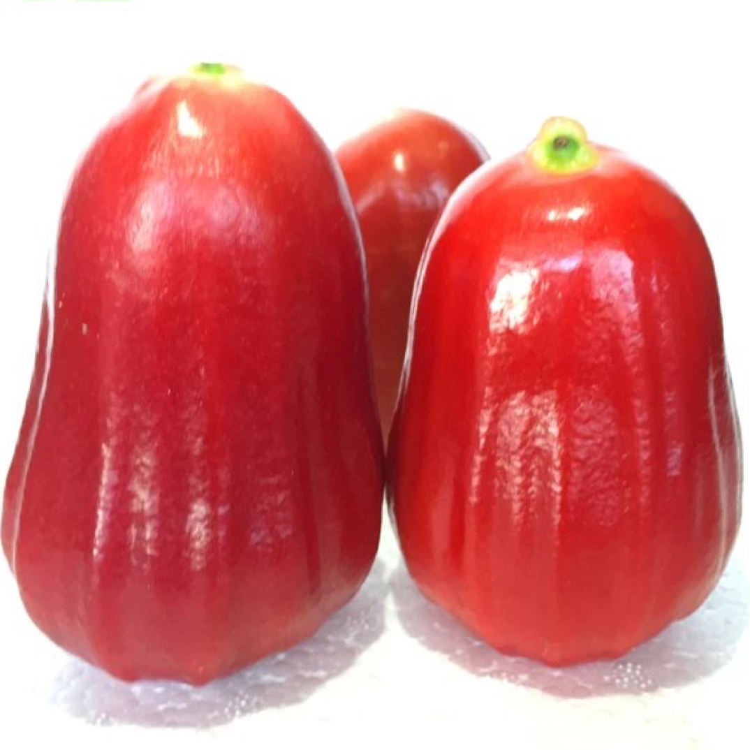 空运包邮 现摘海南黑金刚莲雾大果3-5斤脆甜多汁