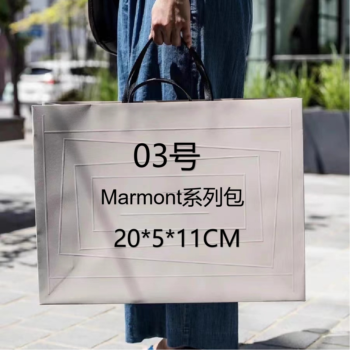 03号（H）Marmont链条包8219#