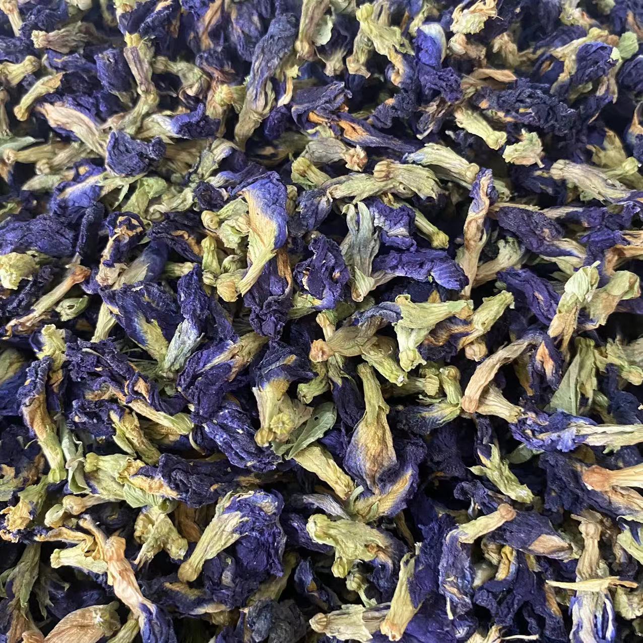 【妞妞现收】 云南高海拔 蓝色妖姬 蓝蝴蝶 泡水好物 100g/250g