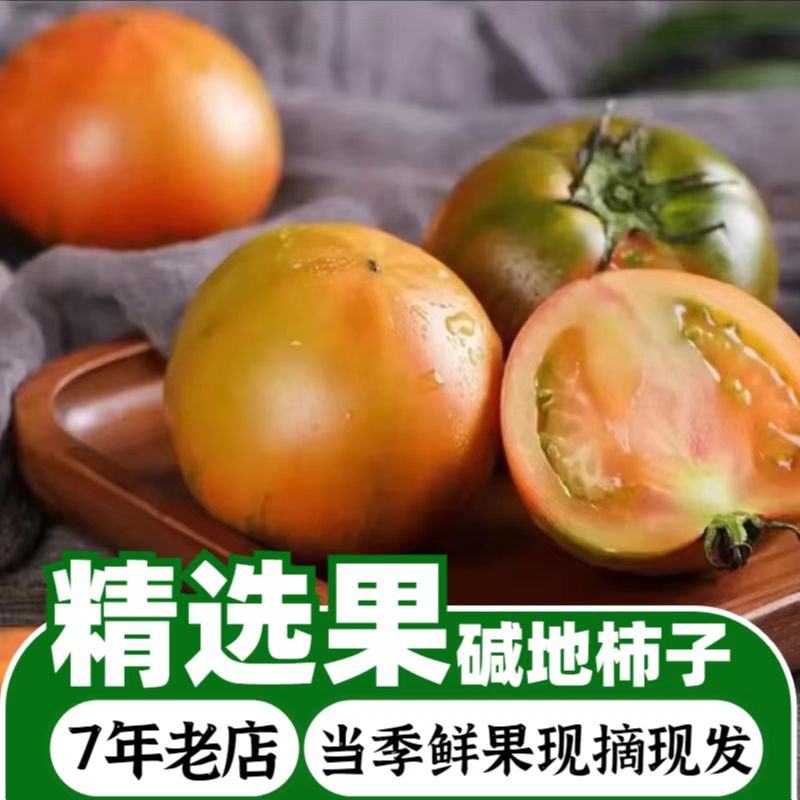 【露天种植中果】碱地柿子草莓西红柿铁皮柿子福建应季水果番茄五斤