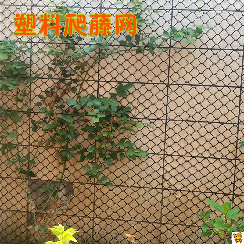 月季爬藤网花架大孔塑胶网DIY植物爬藤网格片花墙绿植爬藤塑料网