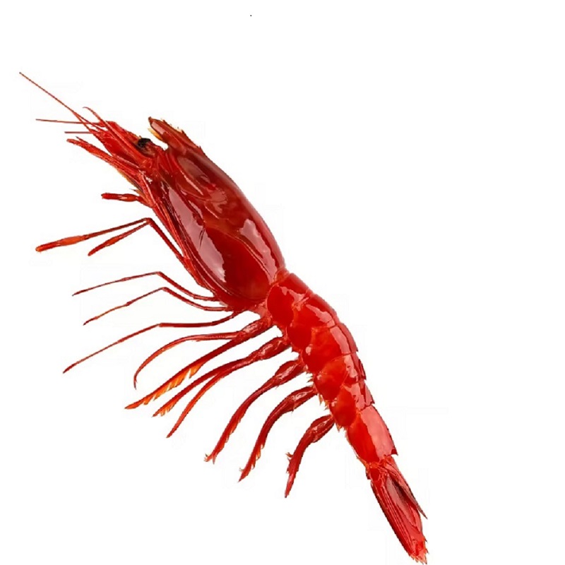 【产季优惠中】大红魔虾 刺身虾 生腌红虾  虾脑 海捕活冻 日式料理