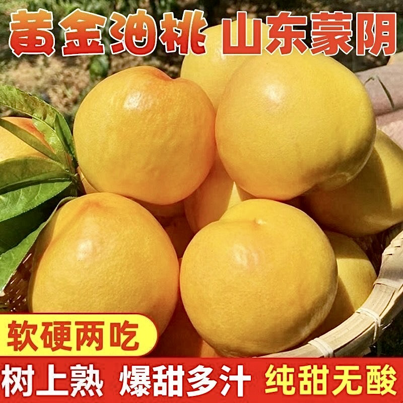 蒙阴蜜桃【蒙阴蜜桃】夏日尝鲜蒙阴头茬黄油桃脆甜多汁