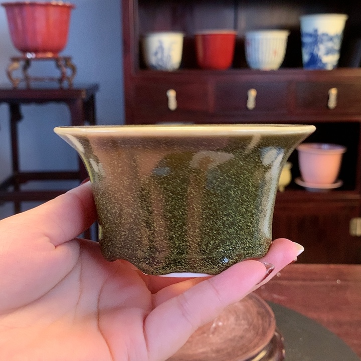 红陶20CM（含）-50CM（不含）