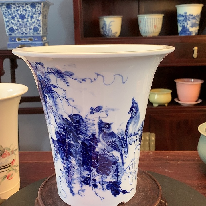 红陶20CM（含）-50CM（不含）