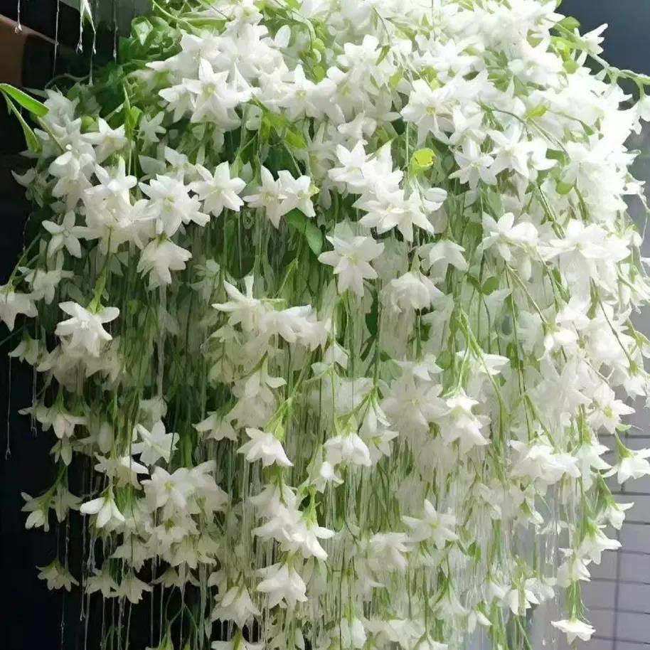 垂丝茉莉花种子四季易活阳台庭院盆栽花卉植物花种子籽花籽常开花