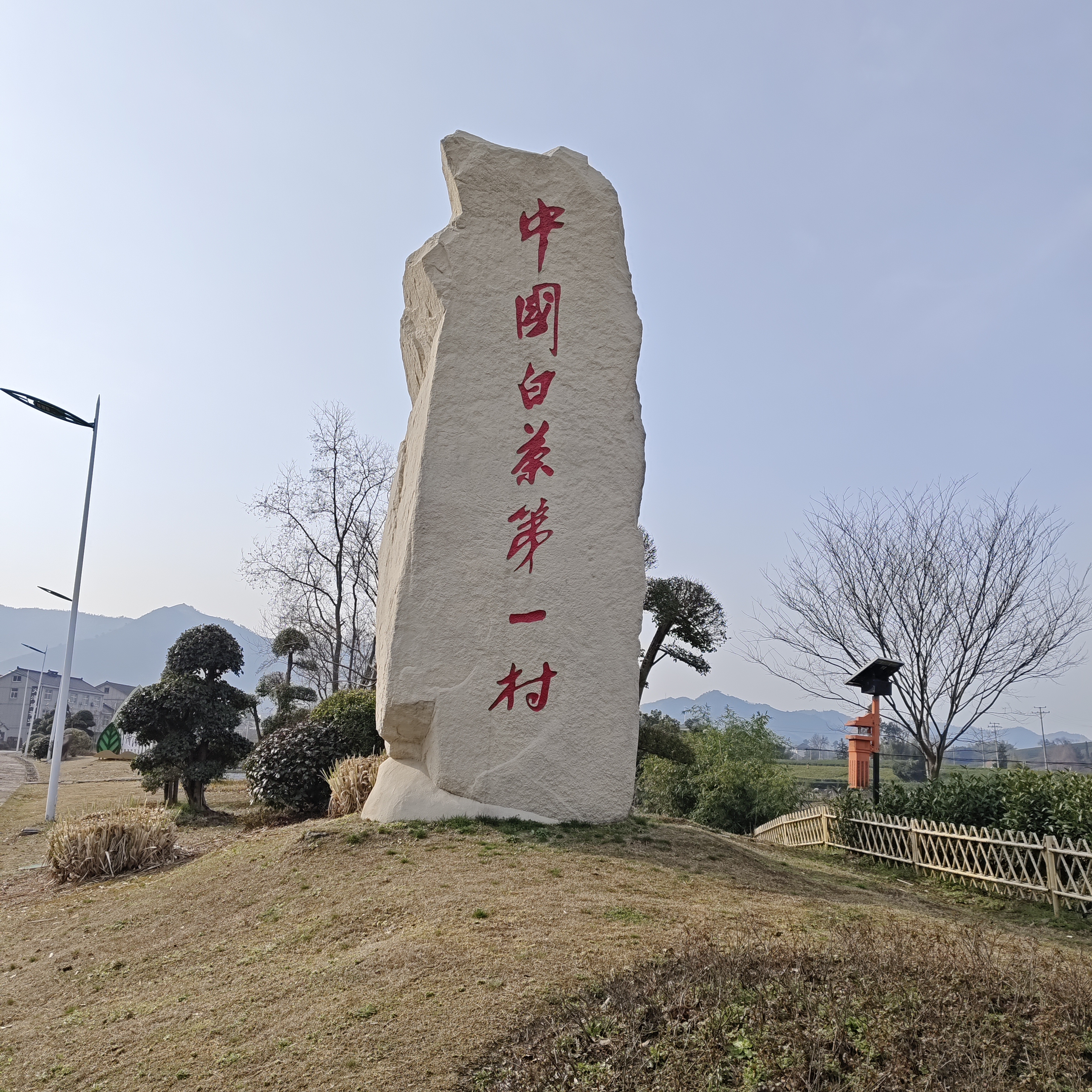 沁河湾【双十二临时白茶】2025新茶溪龙和兴产区兰花香白茶手工制作