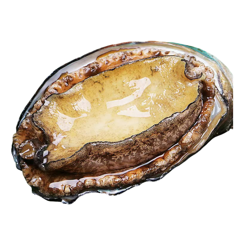 鲍鱼单只（约60-65克）