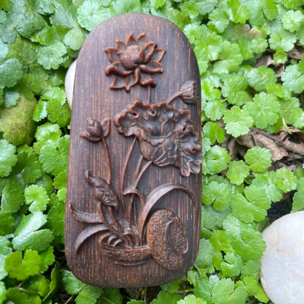 越南芽庄白莲花男女通用款香味浓郁数量不多