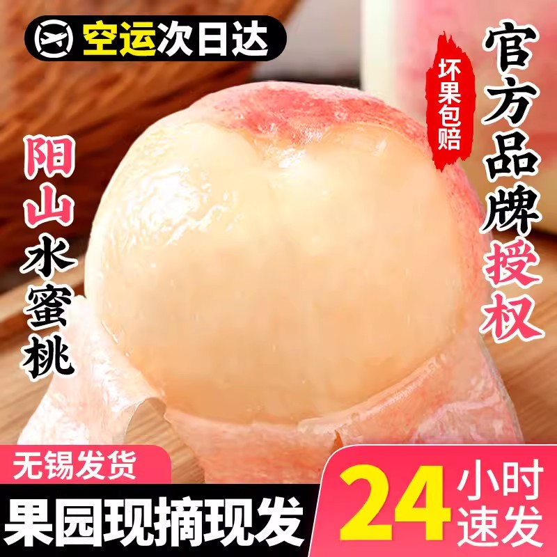 【三田居】正宗5-6两无锡阳山白凤水蜜桃皮薄鲜甜包赔多汁采摘甜蜜