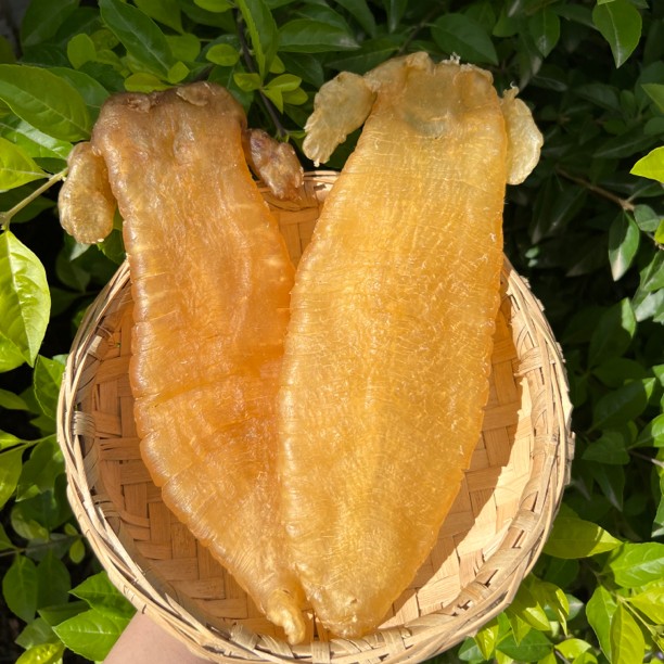 尚膳楼广东大耳赤嘴公母胶1g250g500g