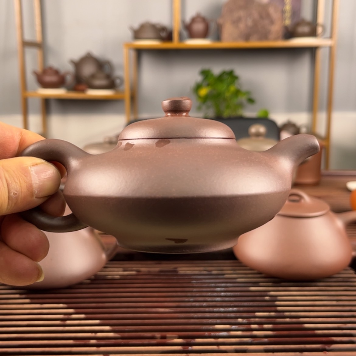 【闪购商品】紫砂茶壶D*H福利款合欢200CC