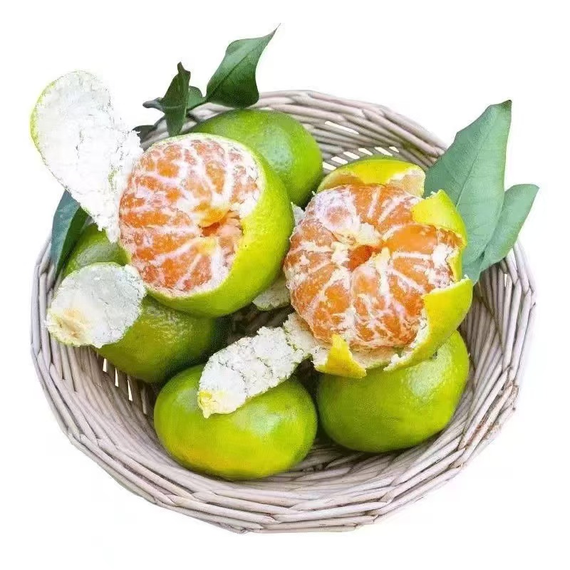 甜桔子5斤发货快