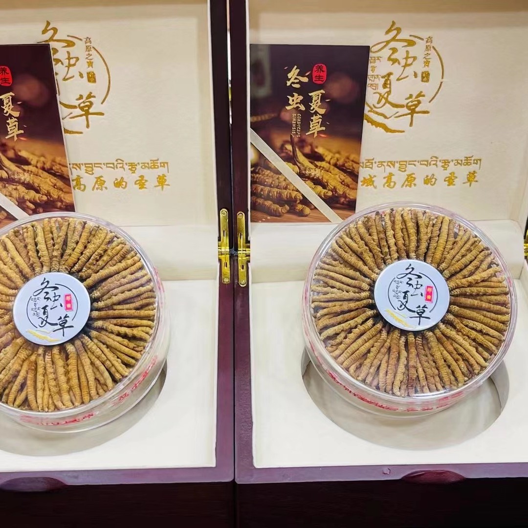 西藏特产那曲冬虫夏草，一克四根