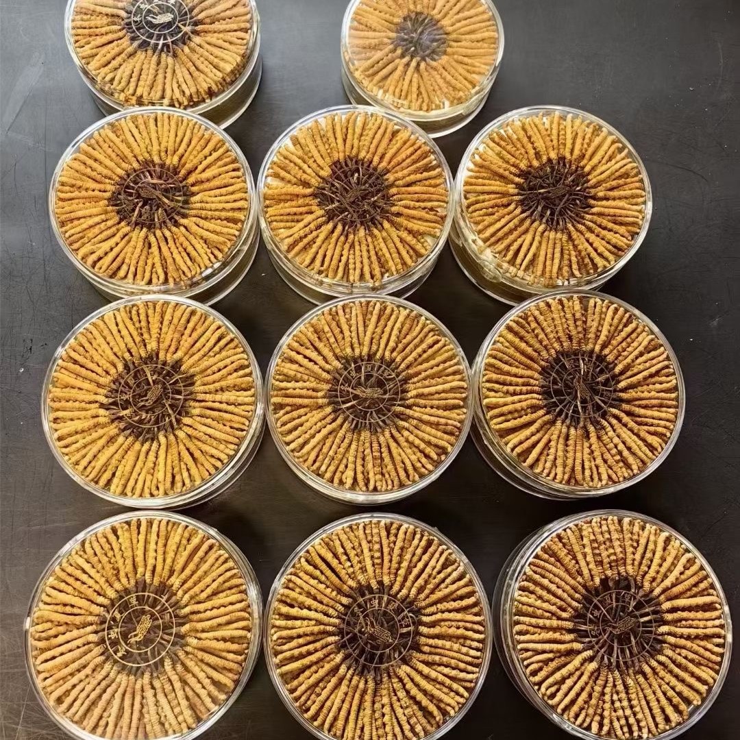 那曲虫草西藏特产西藏那曲1500条