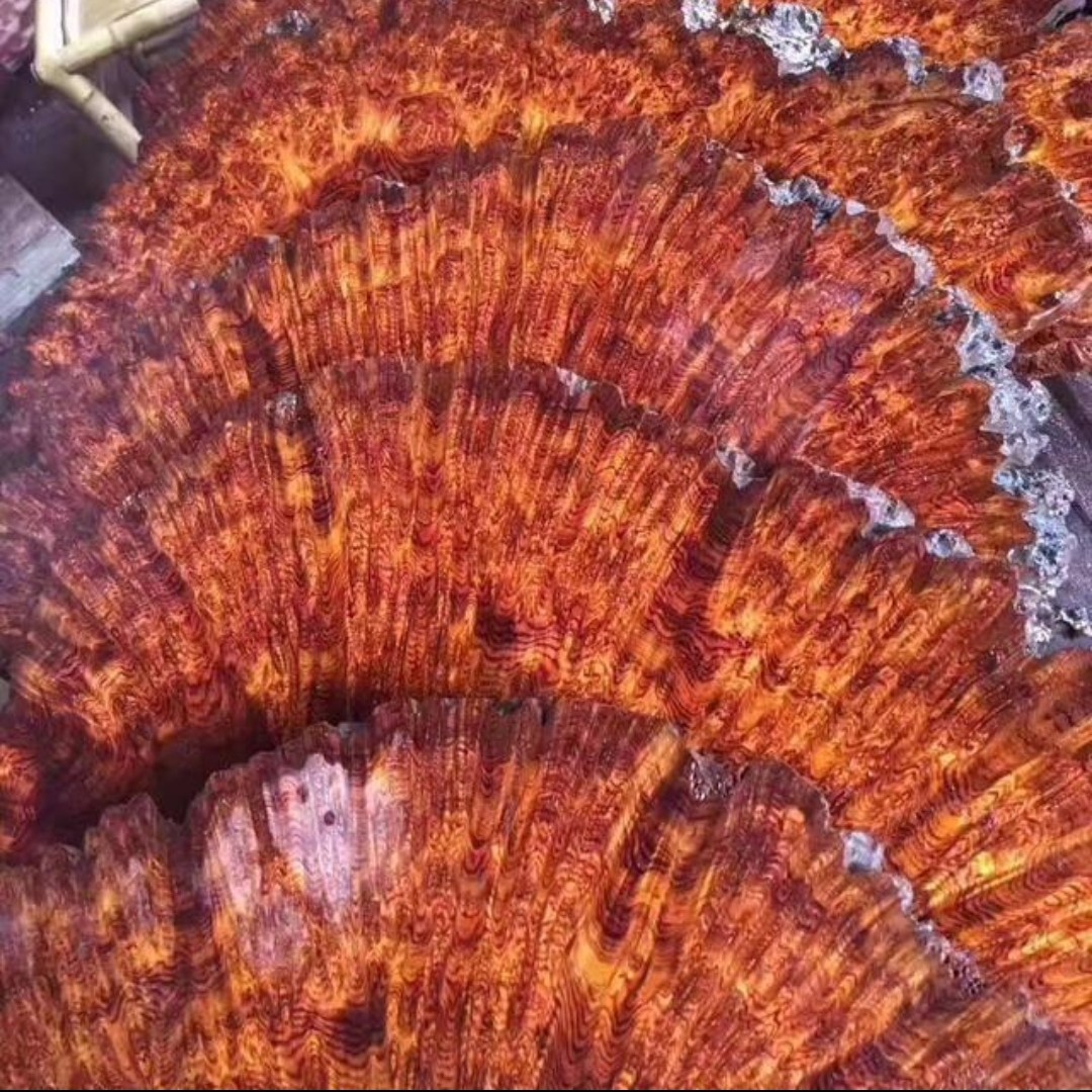 黄花梨海岛料对眼鬼脸留疤定制