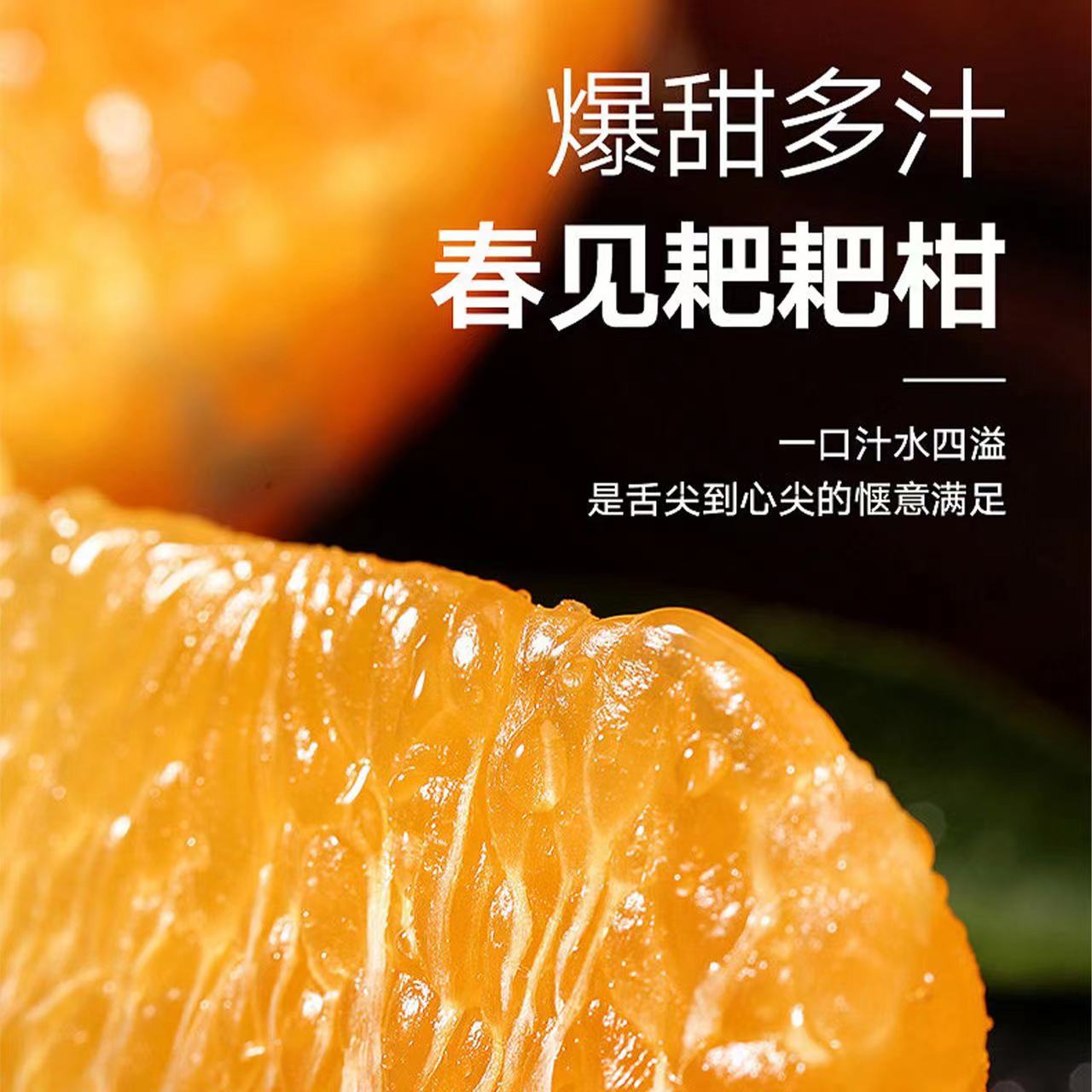 【小龙专属】正宗四川春见耙耙柑整箱丑八怪橘子甜桔子新鲜水果