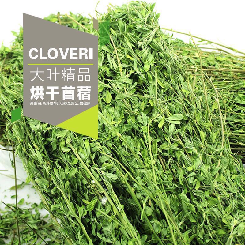 紫花苜蓿草烘干苜蓿草1kg/箱幼兔兔粮饲料牧草干草兔子龙猫荷兰猪
