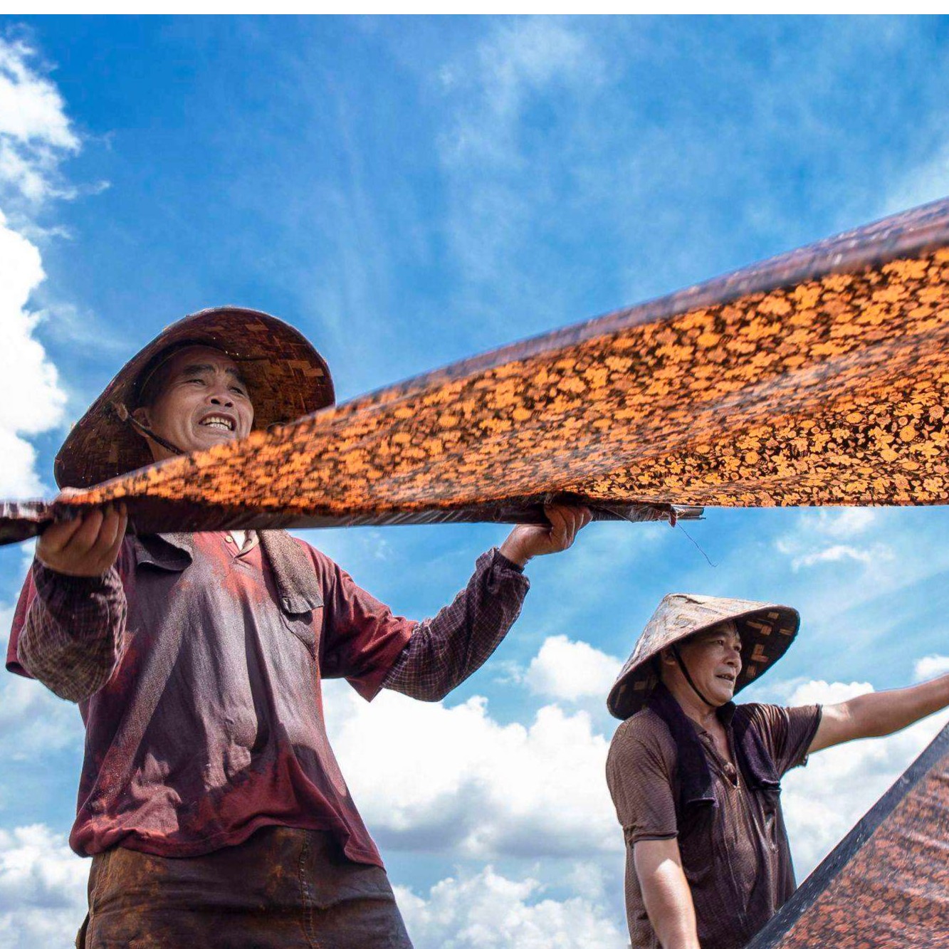 0.5米专拍链接，桑蚕丝面料～不支持7天无理由退换介意慎拍 真丝