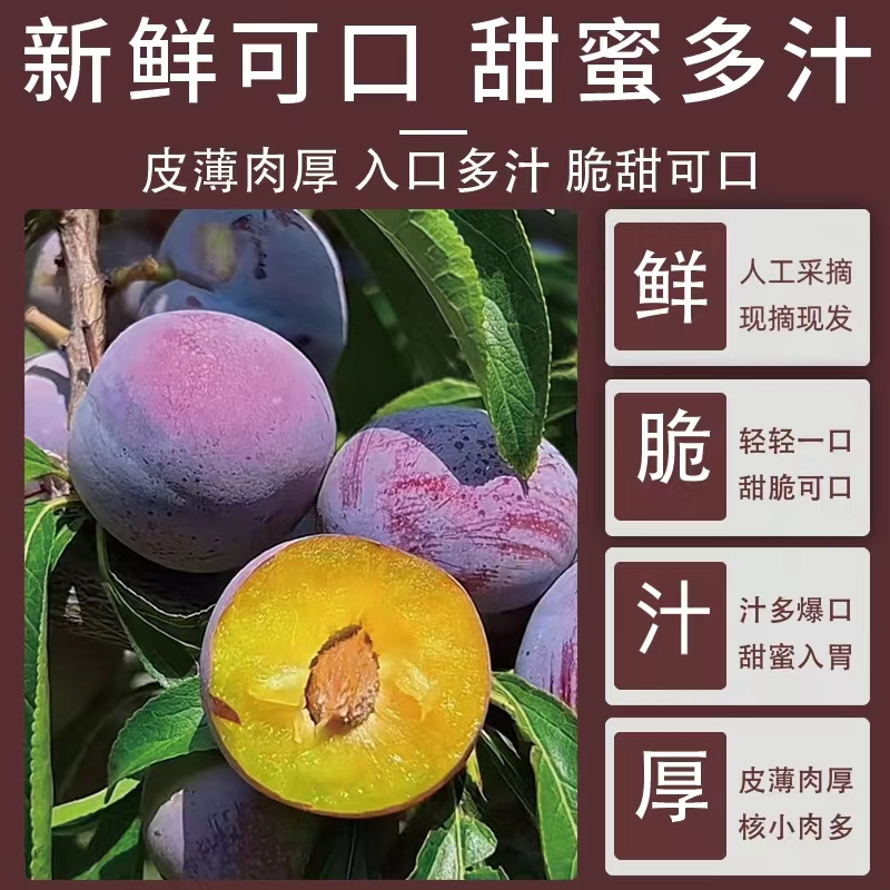 【正宗脱骨李】四川高原脱骨李脆红李新鲜水果多脆甜现摘果王5斤