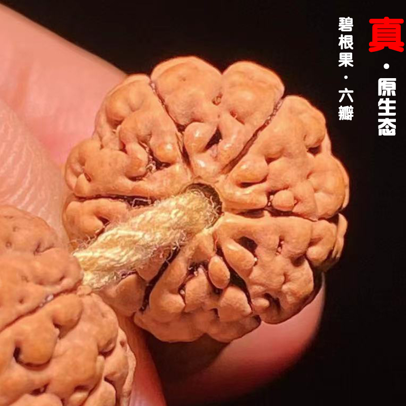 六瓣碧根果毕业季手串