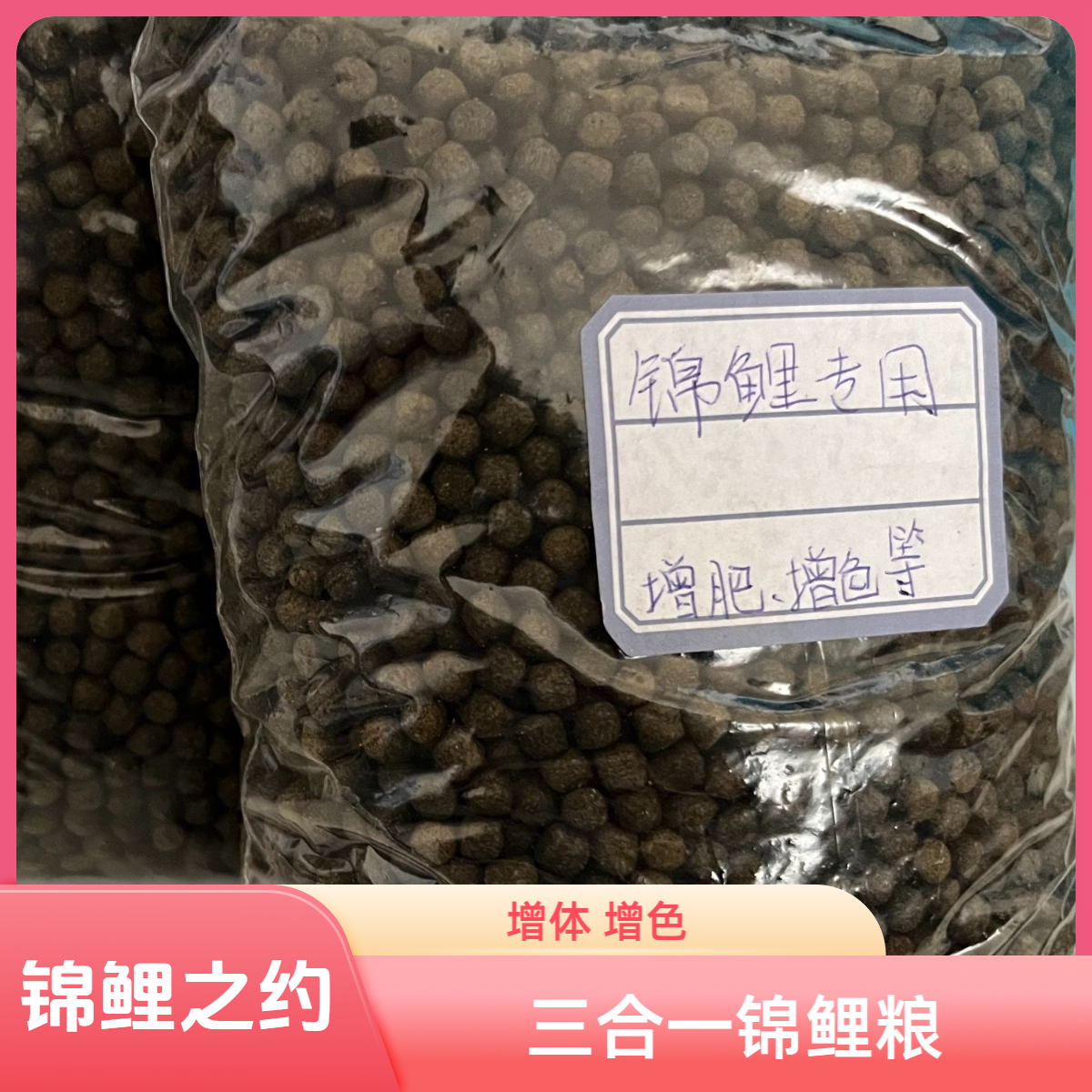 （锦鲤之约）精选锦鲤观赏鱼喂食专用营养饲料