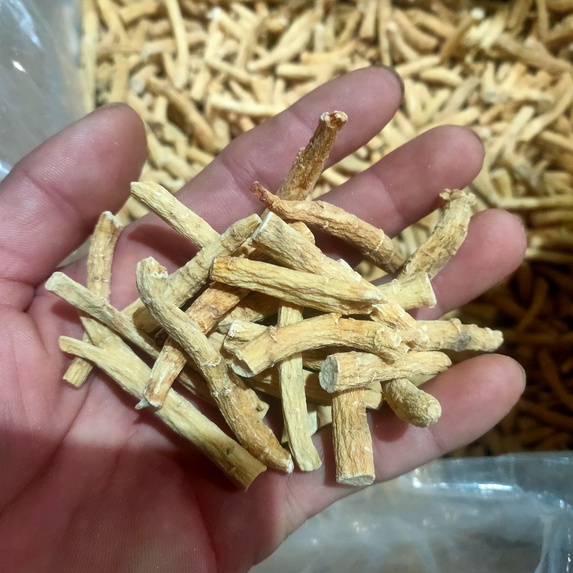 长白山西洋参腿适合打粉、煲汤、煮水250/500克