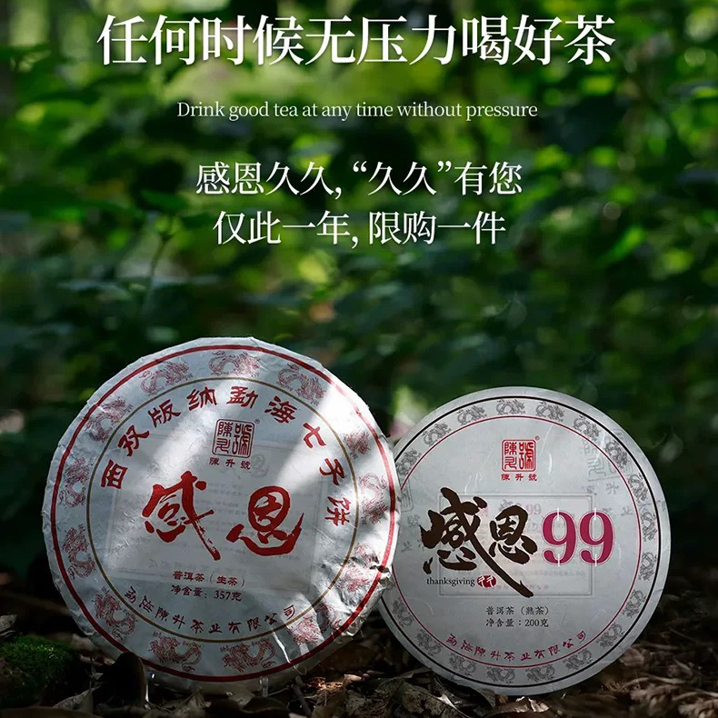 2024年陈升号感恩普洱茶生茶熟茶任选云南勐海茶饼茶叶饼茶