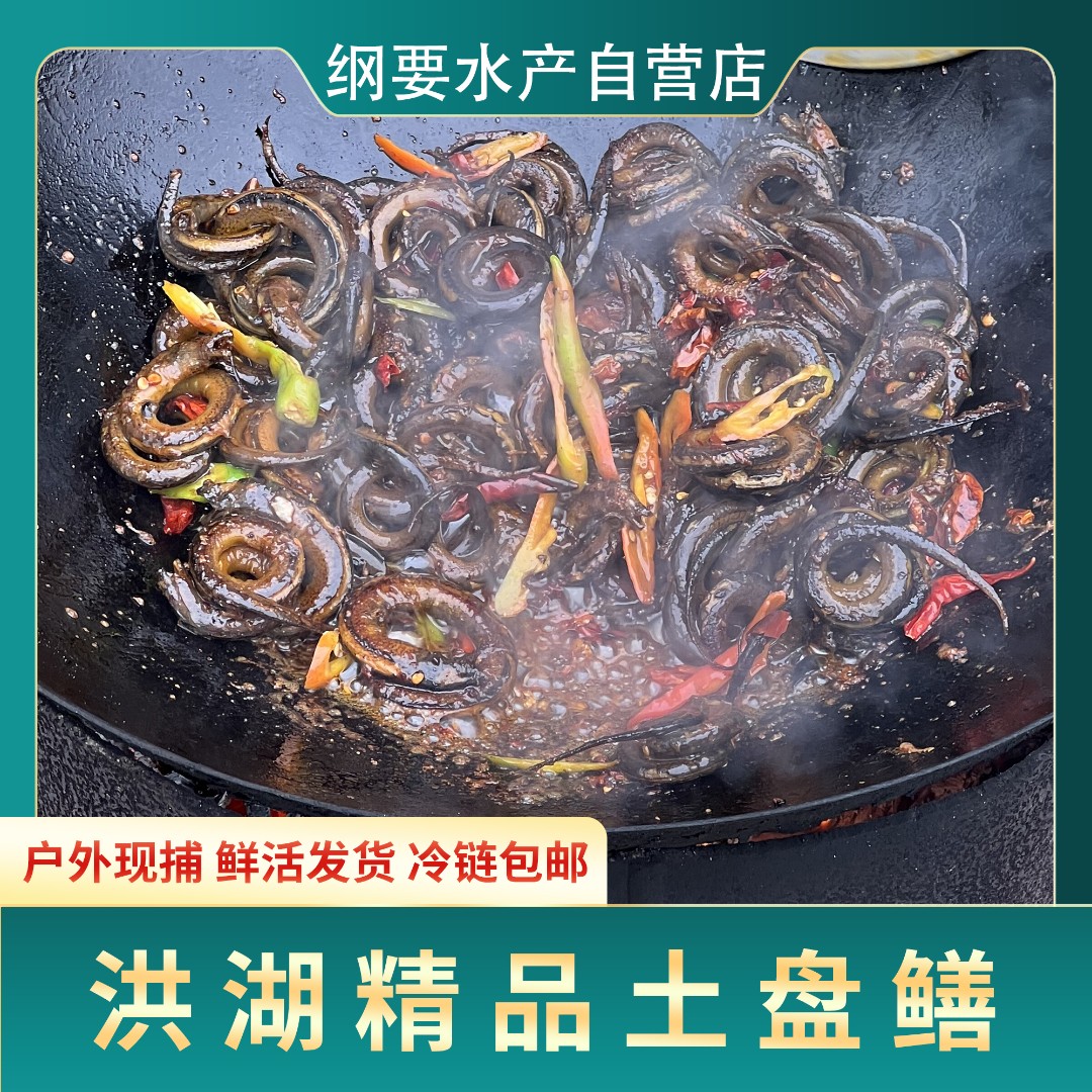 【盘鳝】洪湖盘鳝农家食用土黄鳝鱼盘鳝2斤起京东包邮包活冷链新鲜