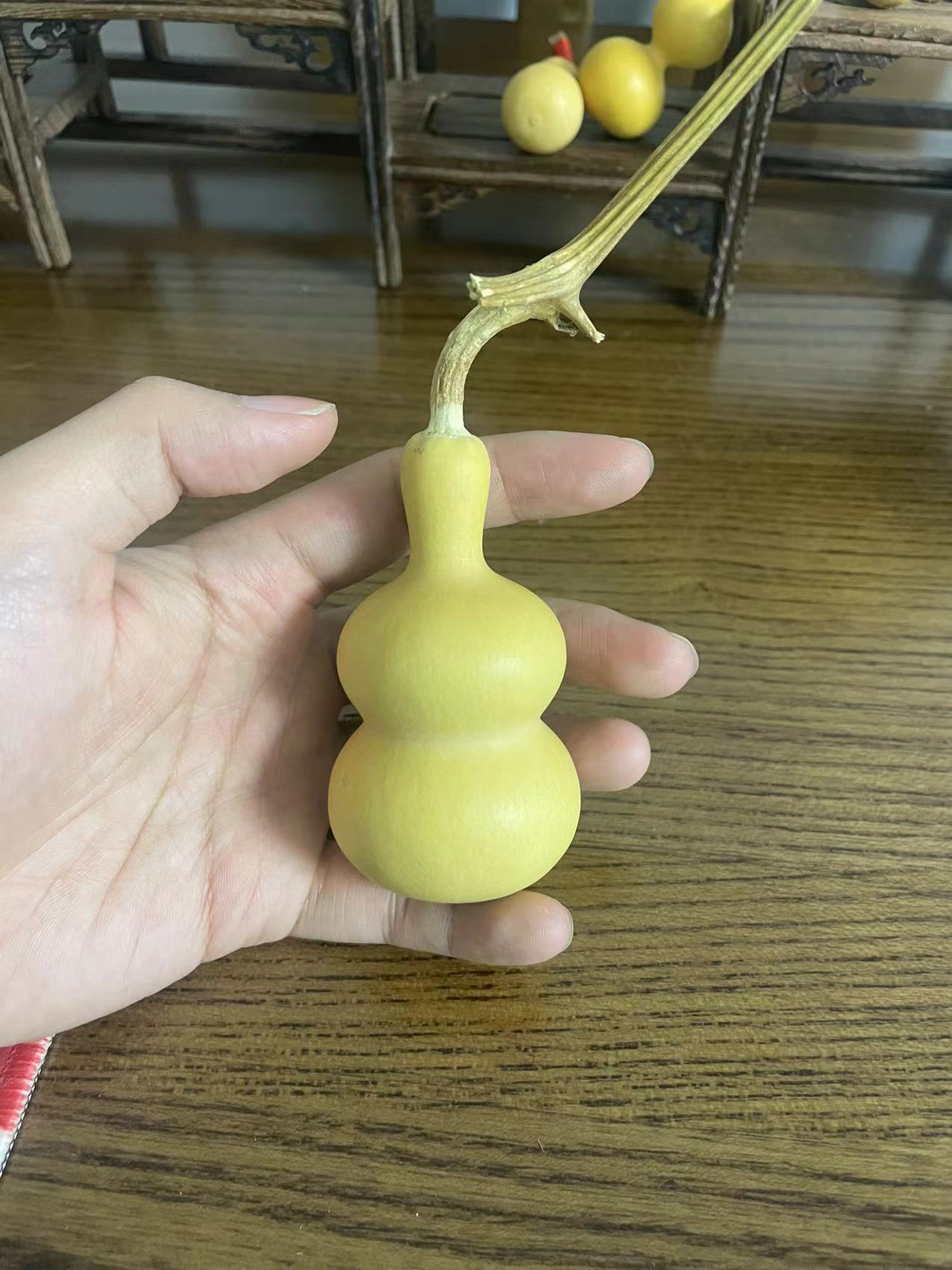 葫芦直播间链接，一物一拍