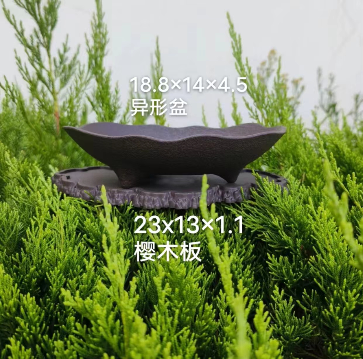 加厚，异形盆带底座，适合云竹米竹菖蒲杜鹃金弹子等茶台盆景花盆