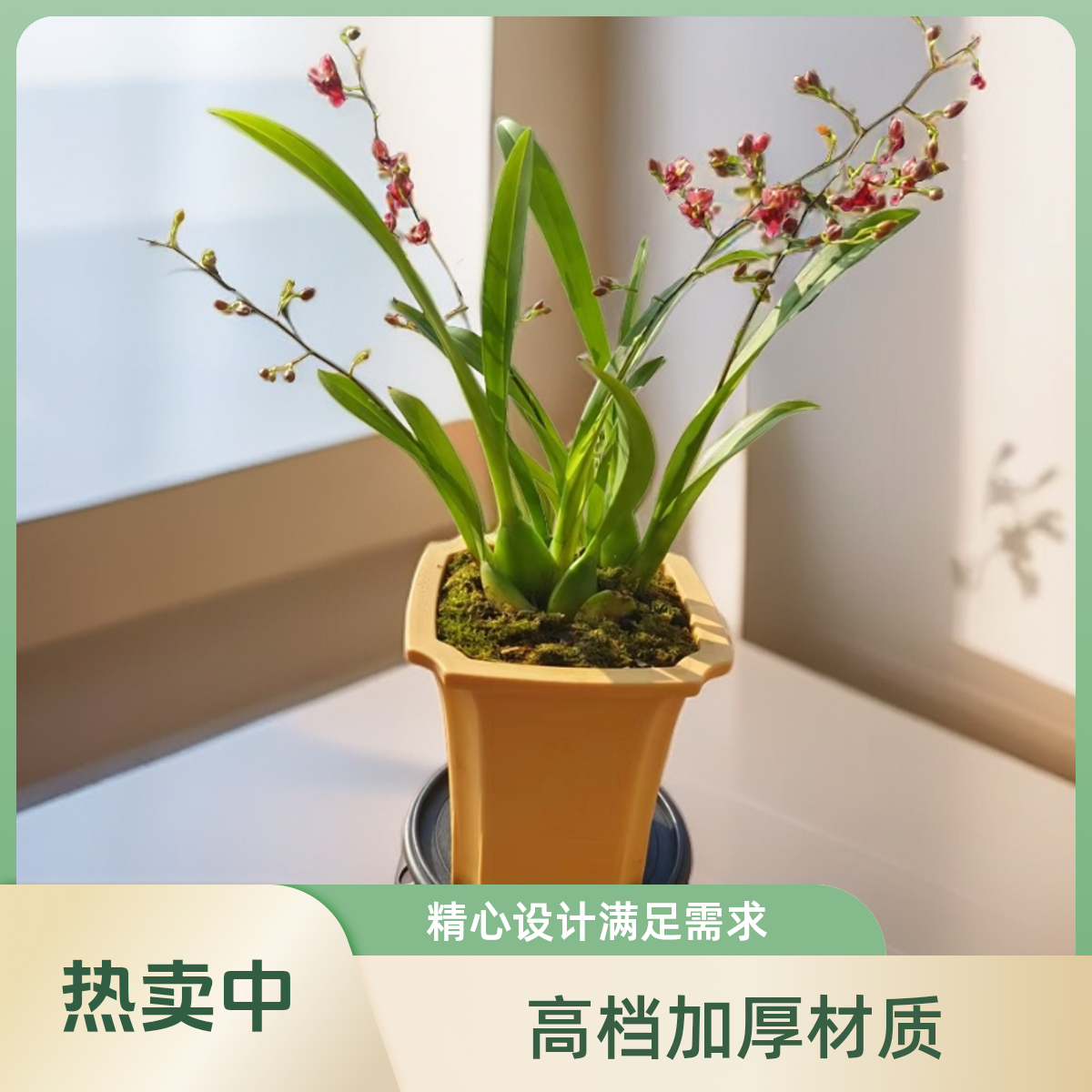 切角四方盆，高档加厚树脂花盆，盆景盆花盆花盆