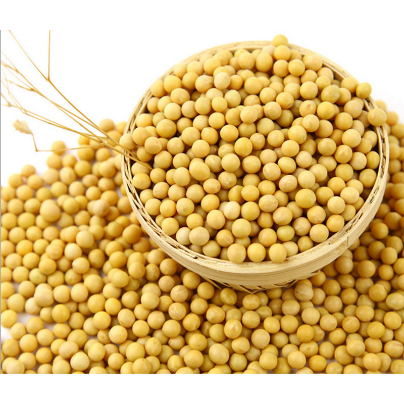 云南山货现收 黄~豆