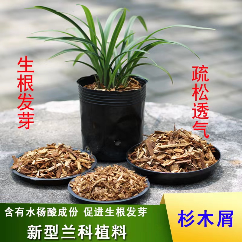 兰花专用植料  疏松透气兰花通用