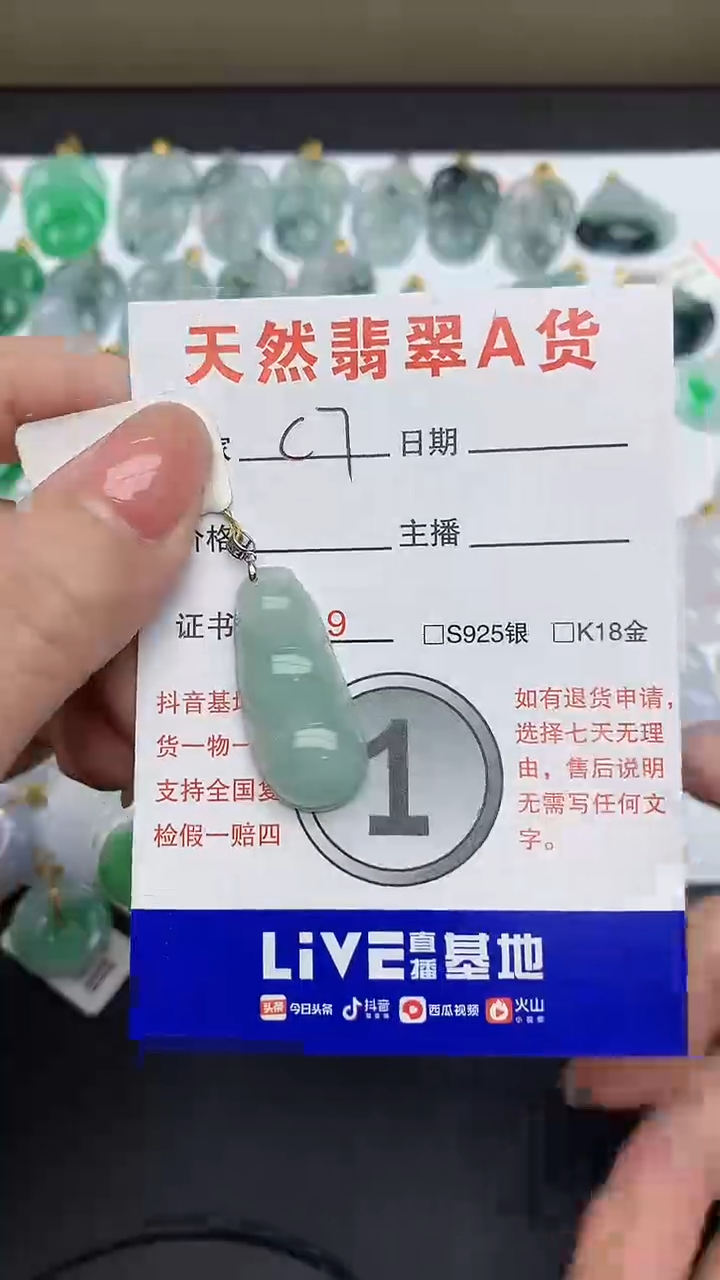 【闪购商品】翡翠颈饰18K金镶嵌1