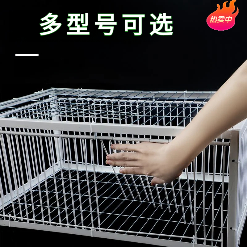 新款家用折叠加密防走失鸽笼防锈鸽笼鸽具养殖鸽子鸽子笼鸟笼鸽笼