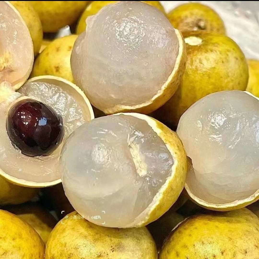 【鲜果园甄选】新鲜到货 鲜龙眼500g左右