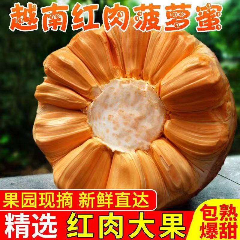 鲜果园批特惠 半个 红肉菠萝蜜  5斤-10斤