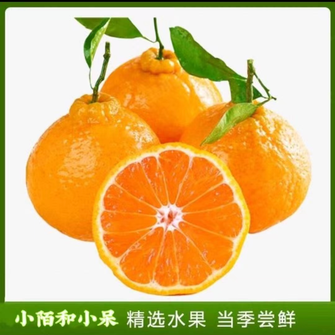 【鲜果园甄选】净果 春见粑粑柑 约5斤