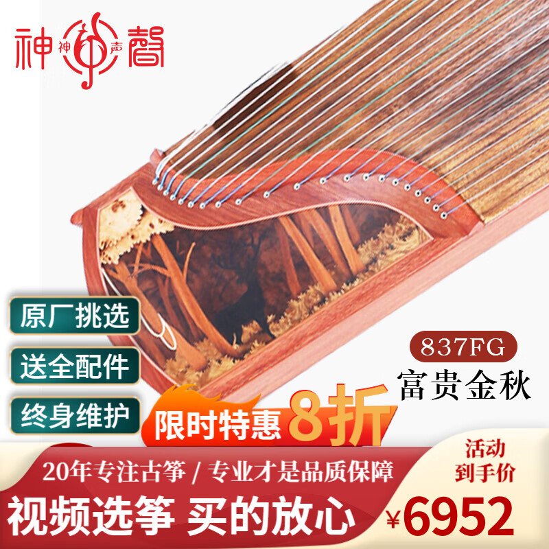 神声古筝837FG富贵金秋初学专业成人少儿考级筝