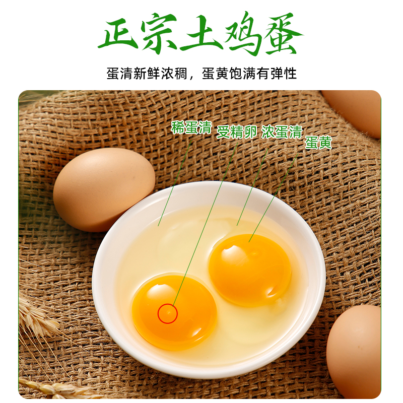 【40枚】正宗新鲜散养谷物土鸡蛋40枚现捡现发顺丰包邮