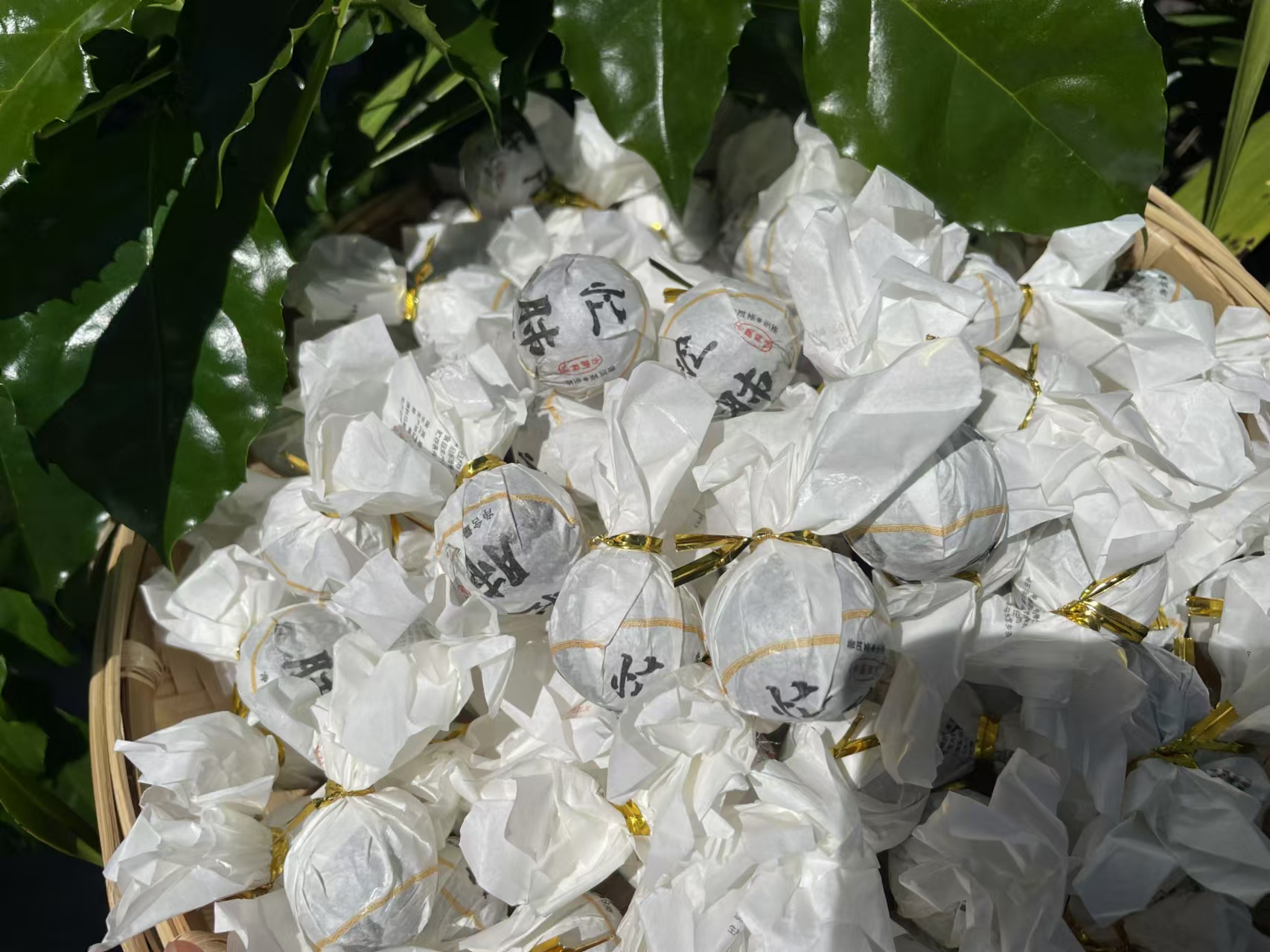 普洱生茶忙肺龙珠十颗装