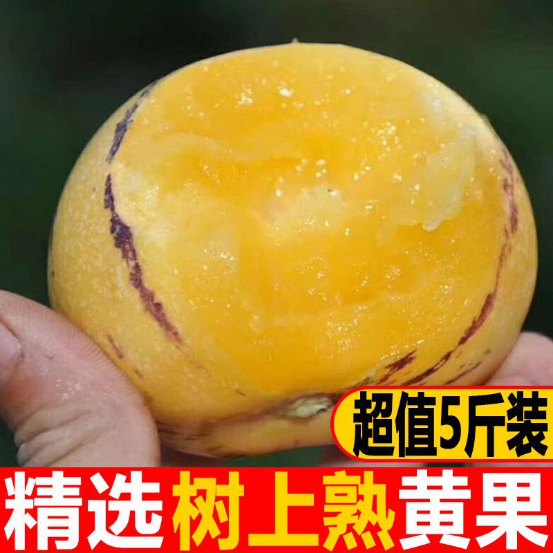 【阿哲】人参果批发圆果好吃云南石林黄果大果新鲜当季黄心整箱跨境