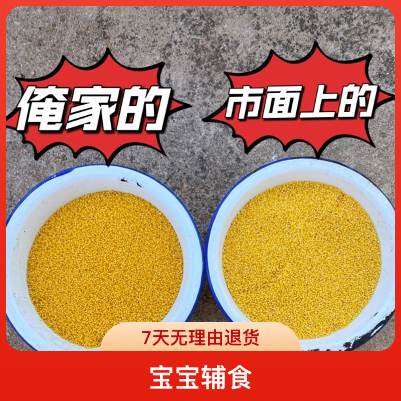 2025新米 朝阳山地小米杂粮月子米 米油多 香糯黏稠5斤