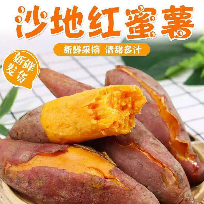 红薯沙地黄心红薯软糯香甜