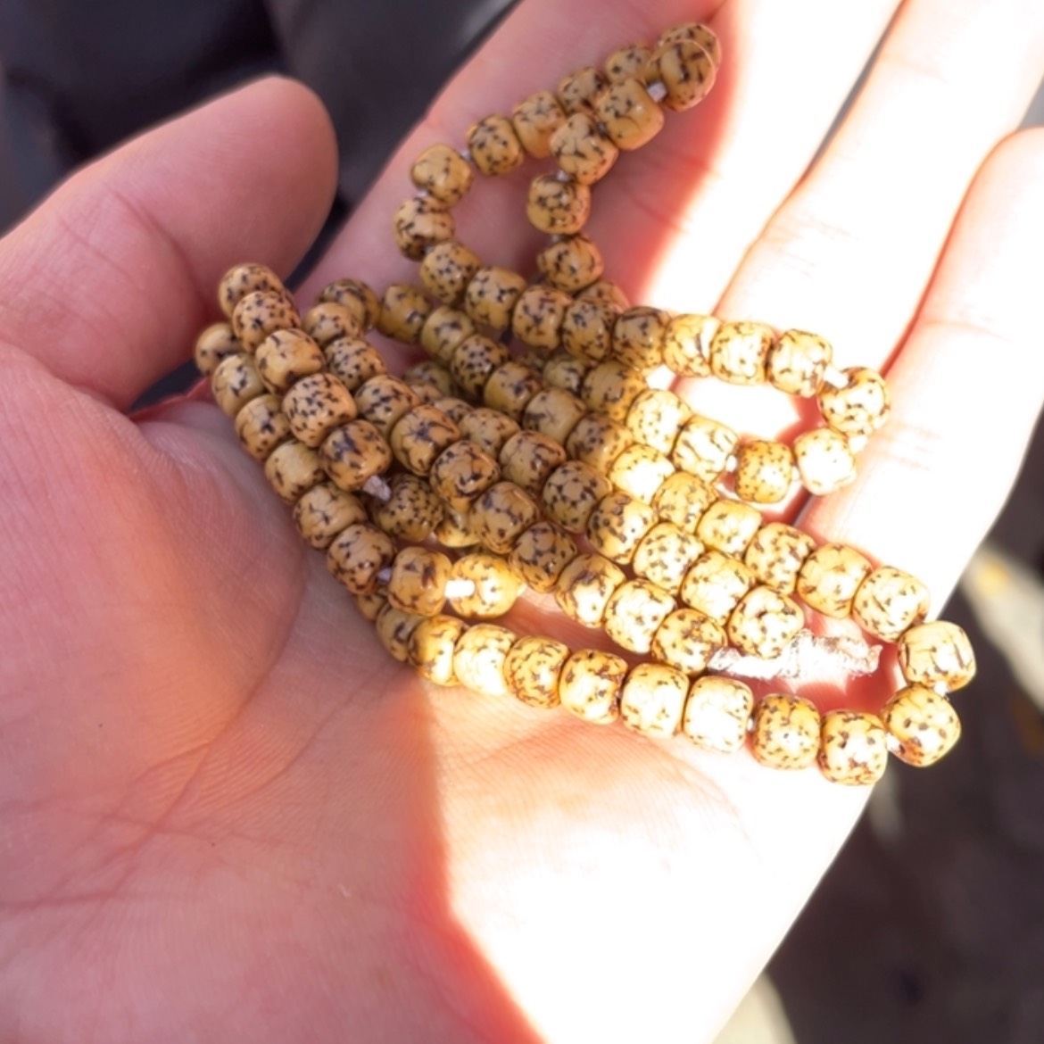 【闪购商品】柏香籽/百香籽吊坠?****?