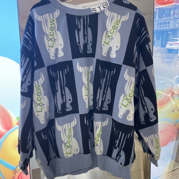 120码春秋卫衣长袖时尚