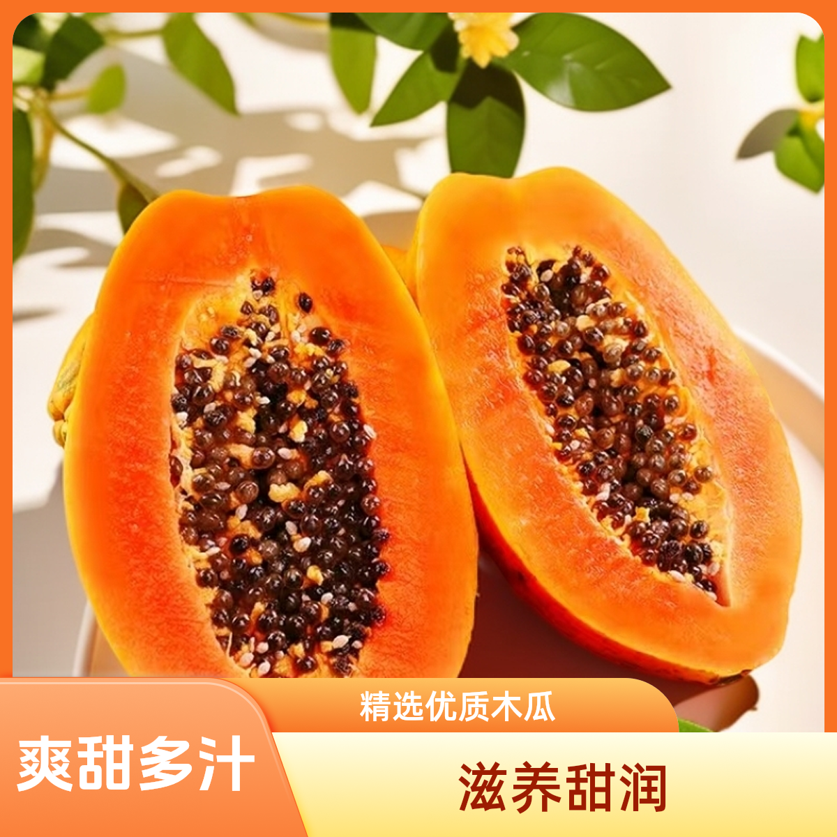 常绿草本绿植生日红心矮化大青红肉木瓜苗新手四季种植盆栽地栽